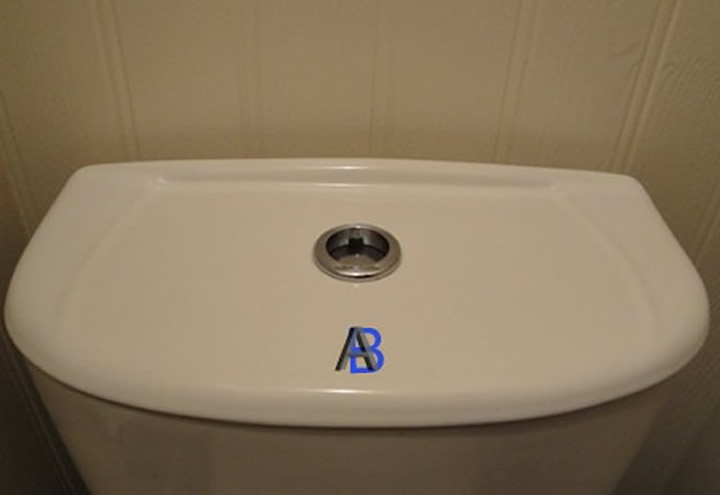 Toilet Button Sticking